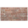 Panneau Mural Pierre 3D EPS Brique Rouge Clair –  (100 x 50 x 2 cm)