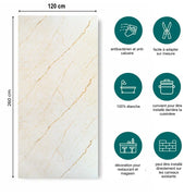 Plaque Mural PVC Imitation Marbre Beige Brillant étanche 