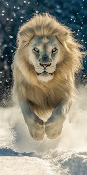 Tableau en verre lion blanc bondissant dans la neige, crinière ivoire et regard intense sur fond bleu hivernal – ByMyDeco