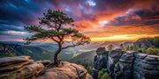 Tableau en verre paysage de montagne au coucher du soleil avec pin sur des rochers et vallée boisée – ByMyDeco